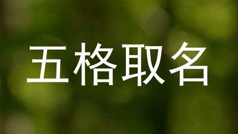 五格取名