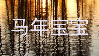 马年宝宝