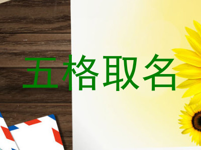 五格取名