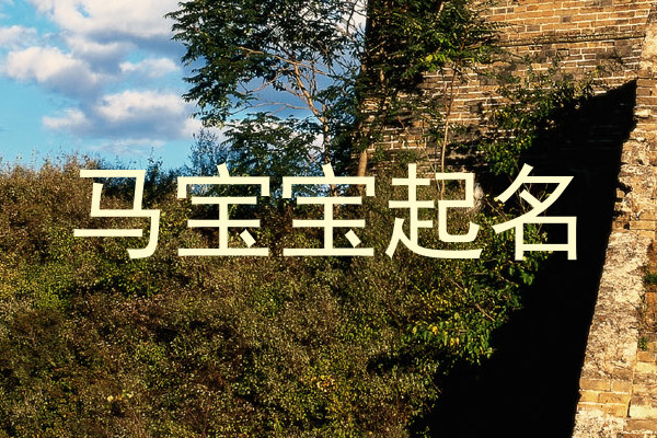 马宝宝起名