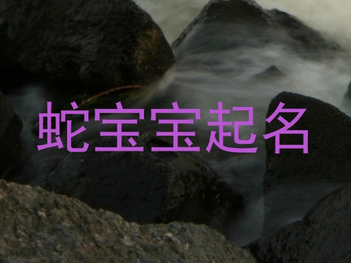 蛇宝宝起名