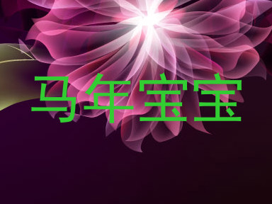 马年宝宝