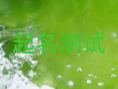 起名测试