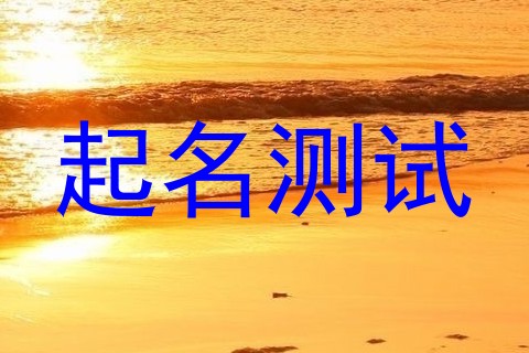 起名测试