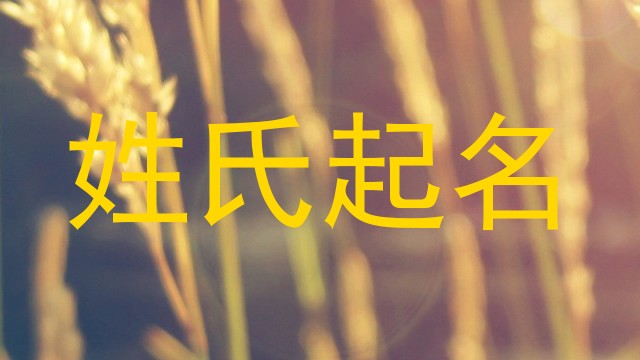 姓氏起名
