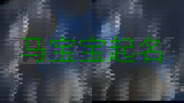 马宝宝起名