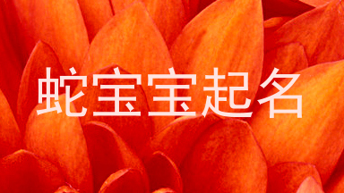 蛇宝宝起名