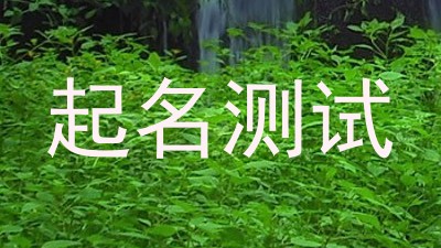 起名测试