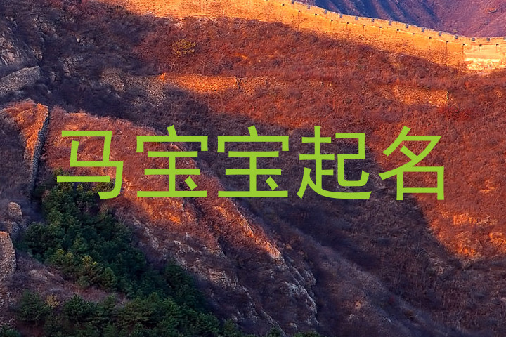 马宝宝起名
