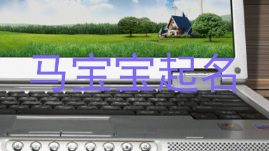 马宝宝起名