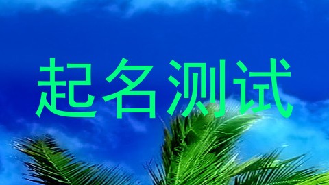 起名测试