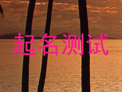 起名测试