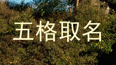 五格取名