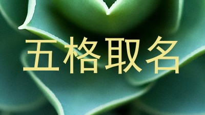五格取名
