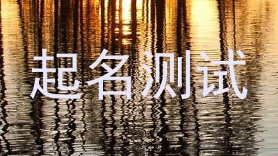 起名测试
