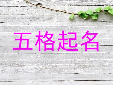 五格起名
