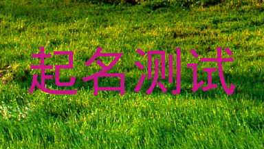 起名测试
