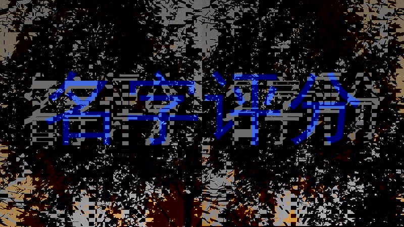 名字评分