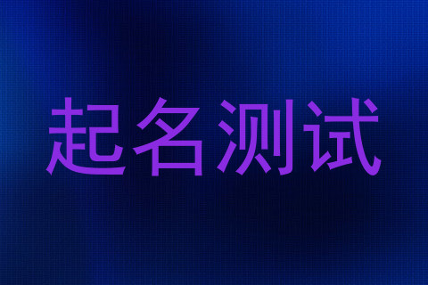 起名测试