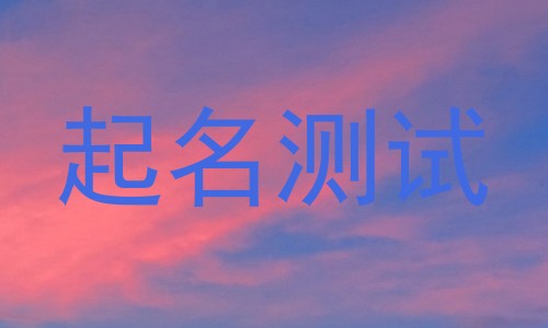 起名测试