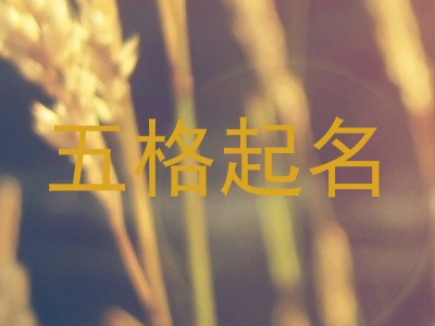 五格起名