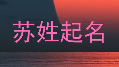 苏姓起名