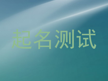 起名测试