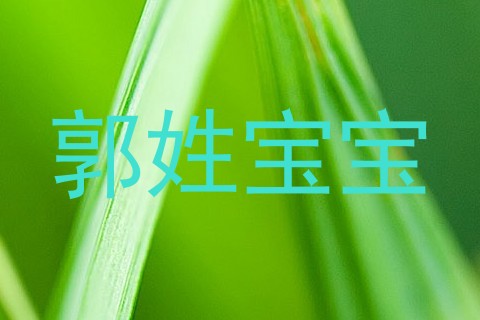 郭姓宝宝