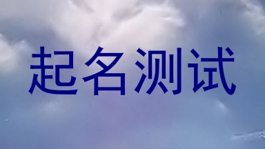 起名测试