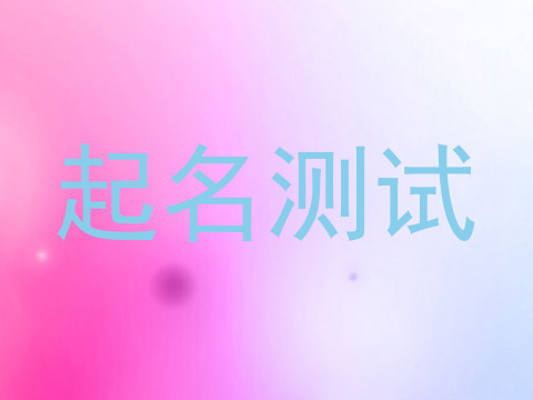 起名测试