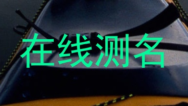 在线测名