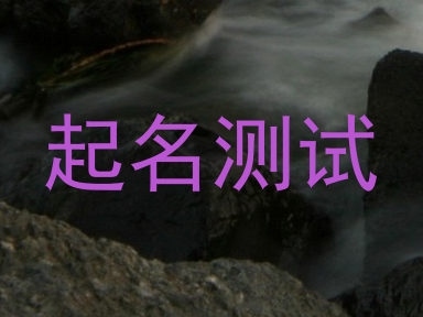 起名测试