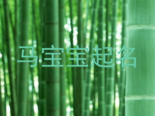 马宝宝起名