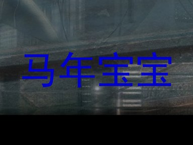 马年宝宝