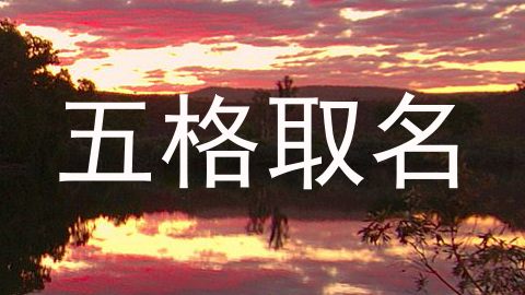 五格取名