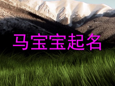 马宝宝起名
