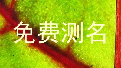 免费测名