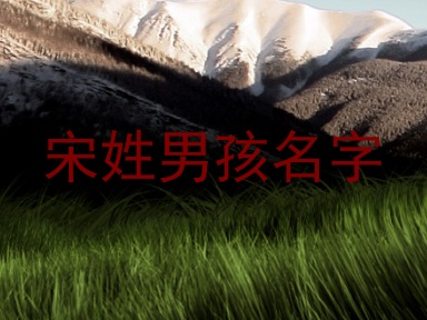 宋姓男孩名字