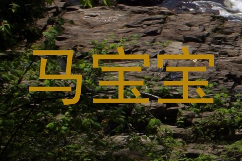 马宝宝