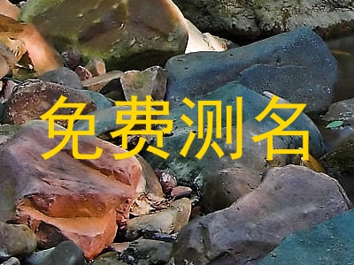 免费测名