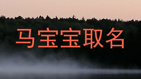 马宝宝取名