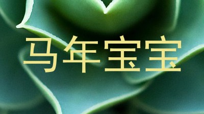 马年宝宝