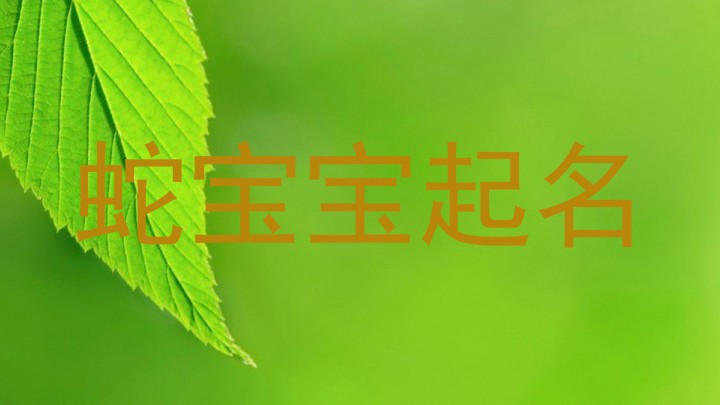 蛇宝宝起名