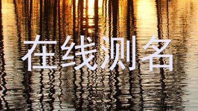 在线测名