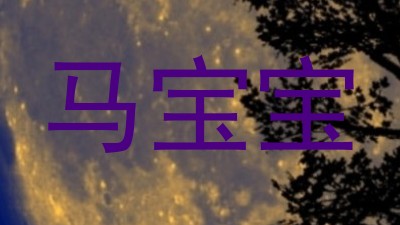 马宝宝