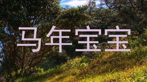 马年宝宝