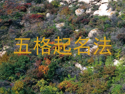五格起名法