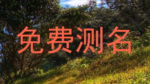 免费测名