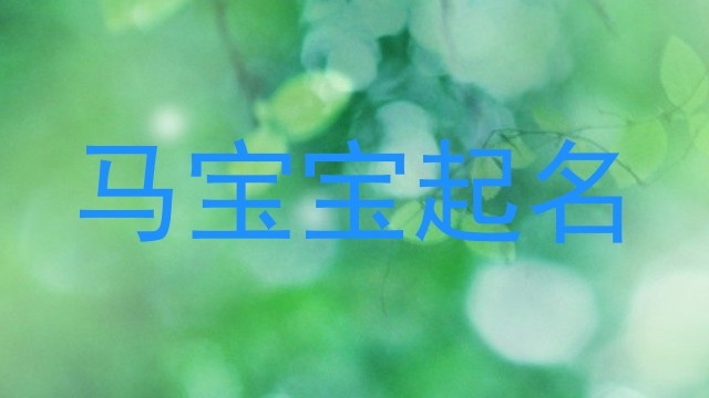 马宝宝起名