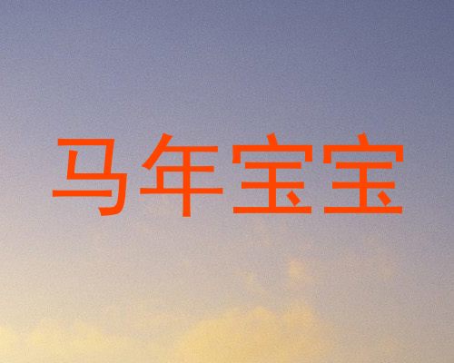 马年宝宝